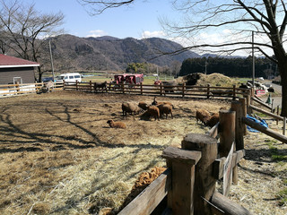 Pic5_01.JPG