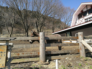 Pic6_01.JPG
